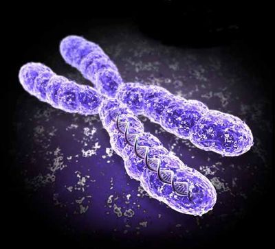 Migrēnas cēlonis ir X hromosomas mutācija