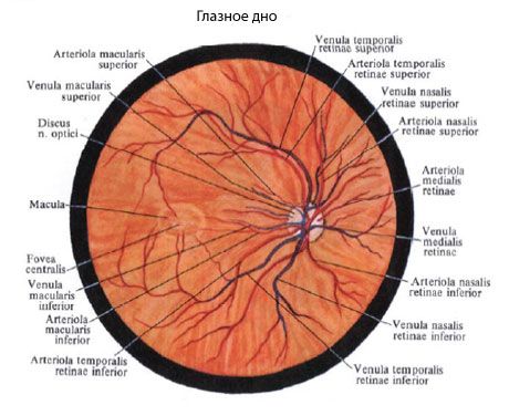 Acu apakšdaļa