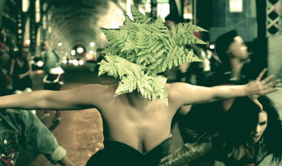 Paparde ir nosaukta Lady Gaga