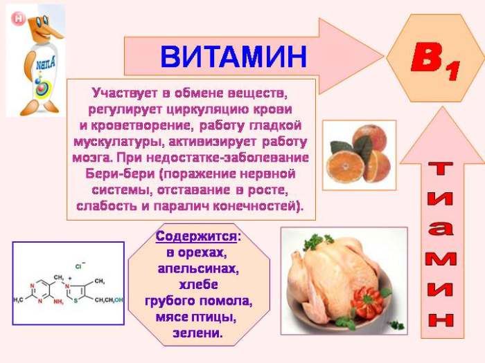 B1 vitamīna īpašības
